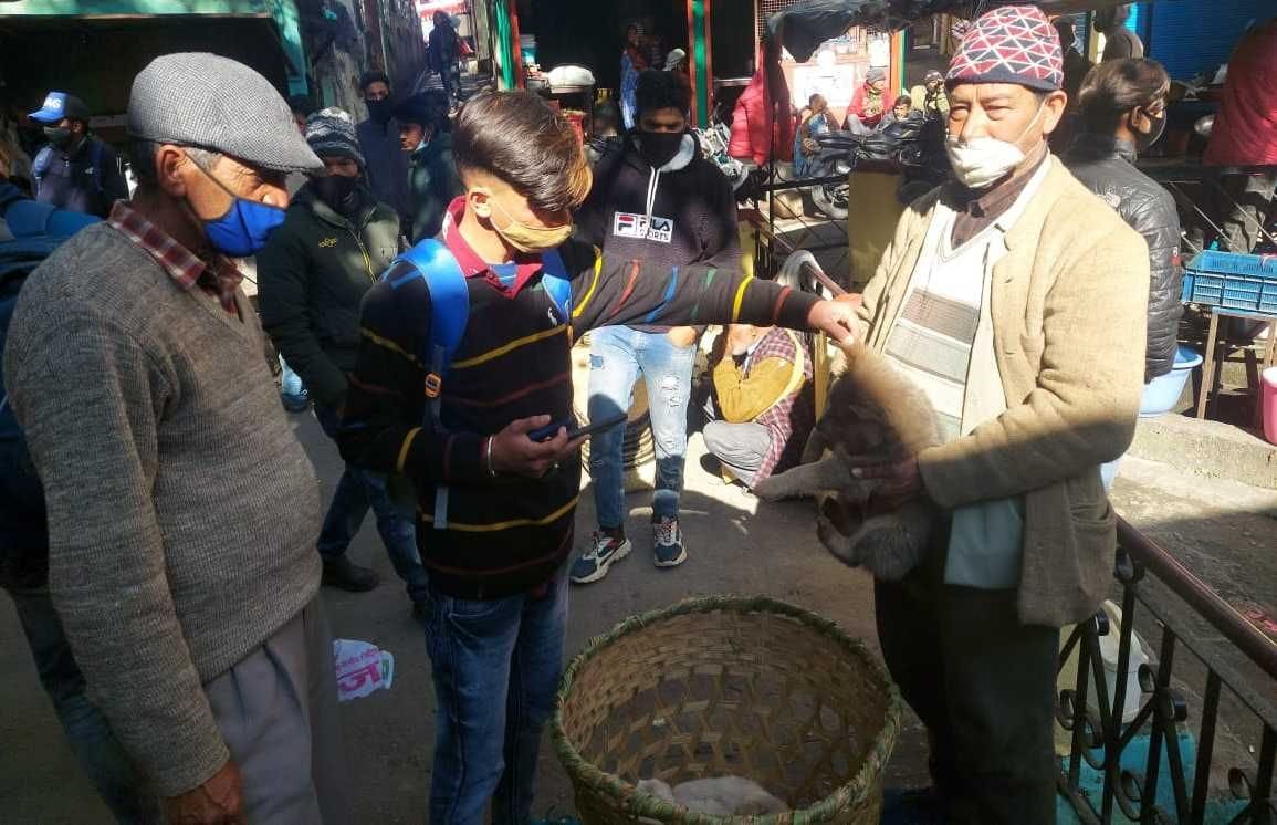 Cultural Gatherings