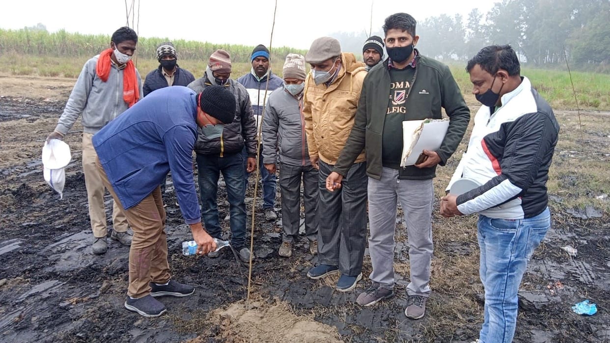 Corporation will plant 65 thousand saplings so that there is no illegal occupation on vacant land