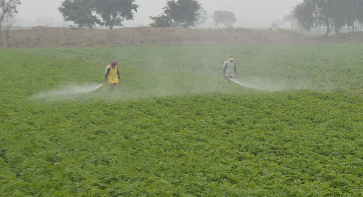 Hathras: Farmers worried due to changing weather, fear of frost
