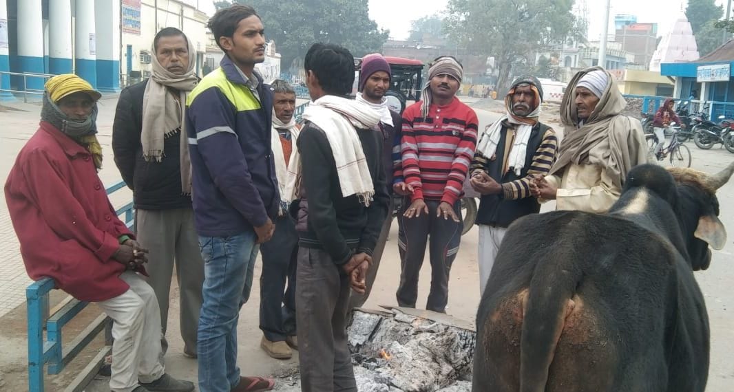 fathepur news,Cold wave increased chills, farmer died due to cold