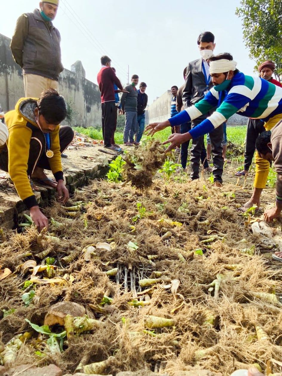 Improved farming methods with natural fertilizers taught to prisoners in prison