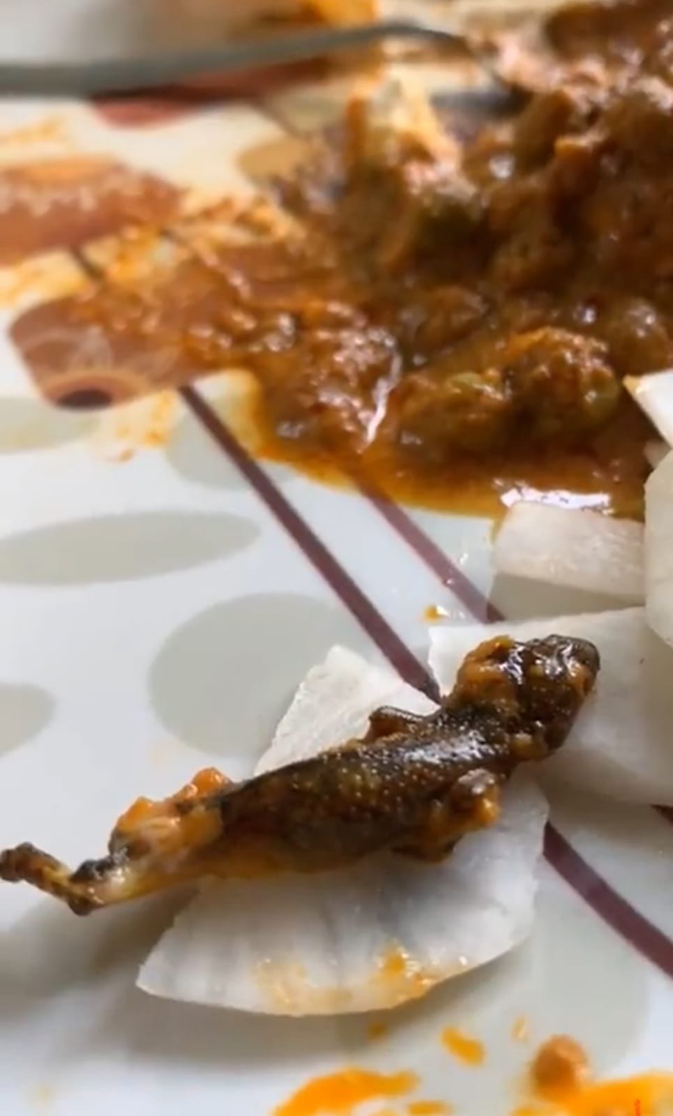 Ordered food online, lizard found in vegetable