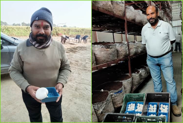 Sunil Khatri of Jhajjar quit the job of Telecom Engineer and adopted Mushroom farming