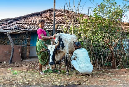 Madhya Pradesh: Rural tourism policy of MP is opening new doors of possibilities, the villages of Madhya Pradesh are waiting for you