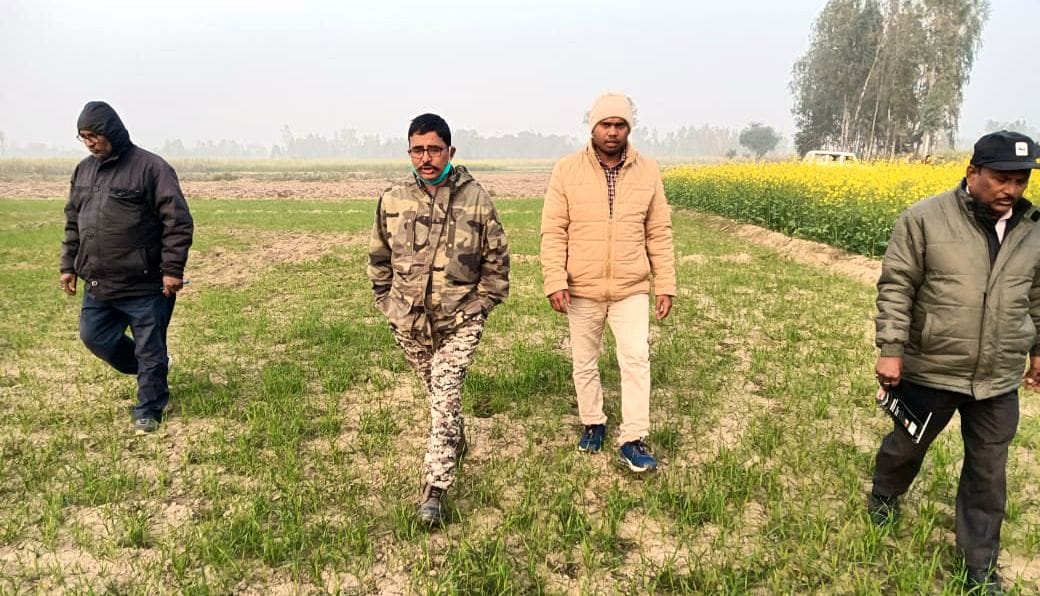 team have no clue of tiger