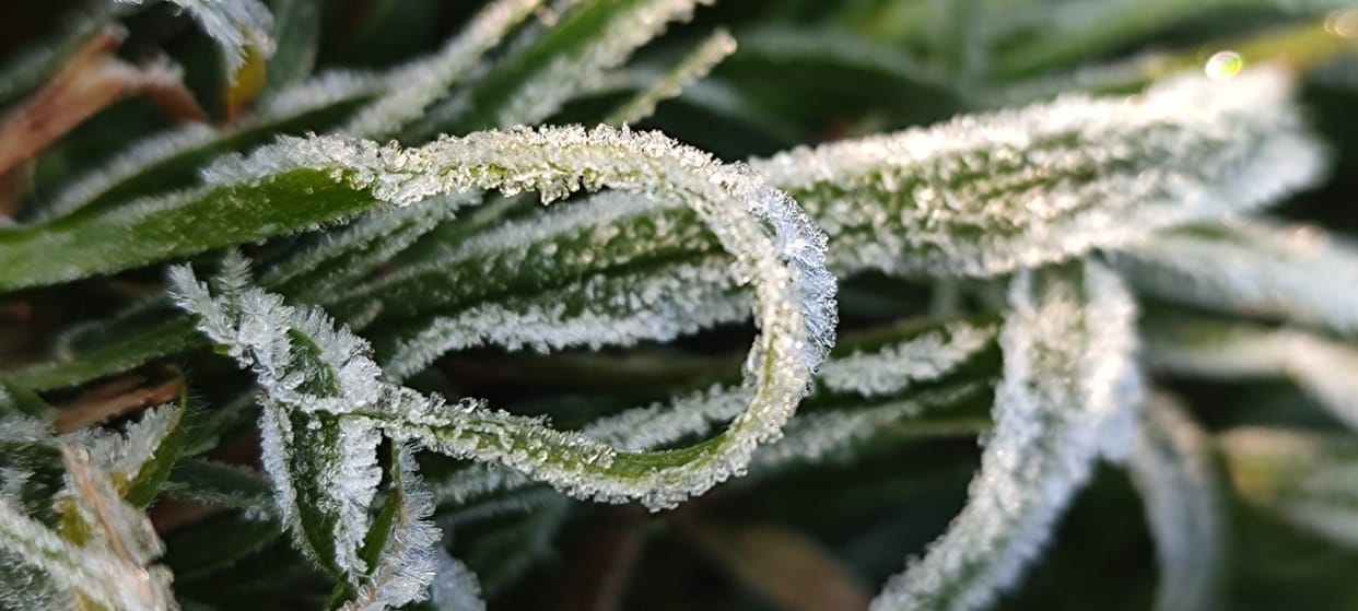 Sunday was the coldest day of the season