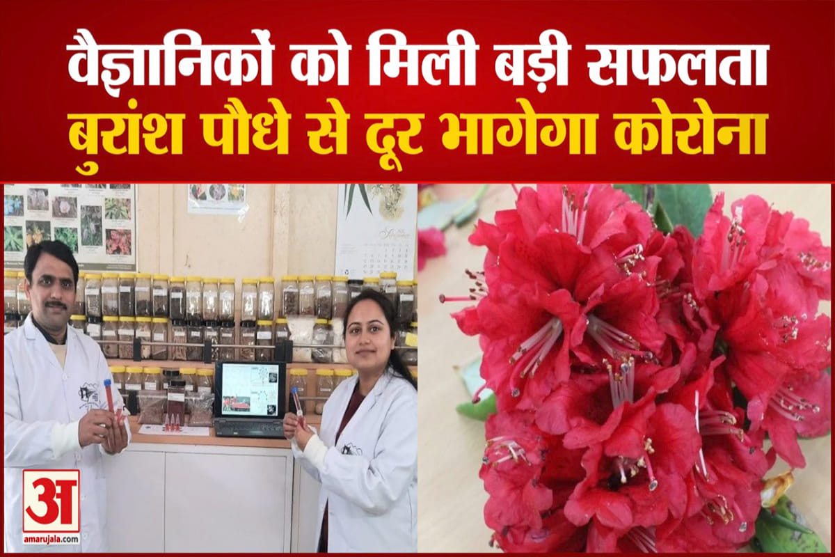 आईआईटी मंडी