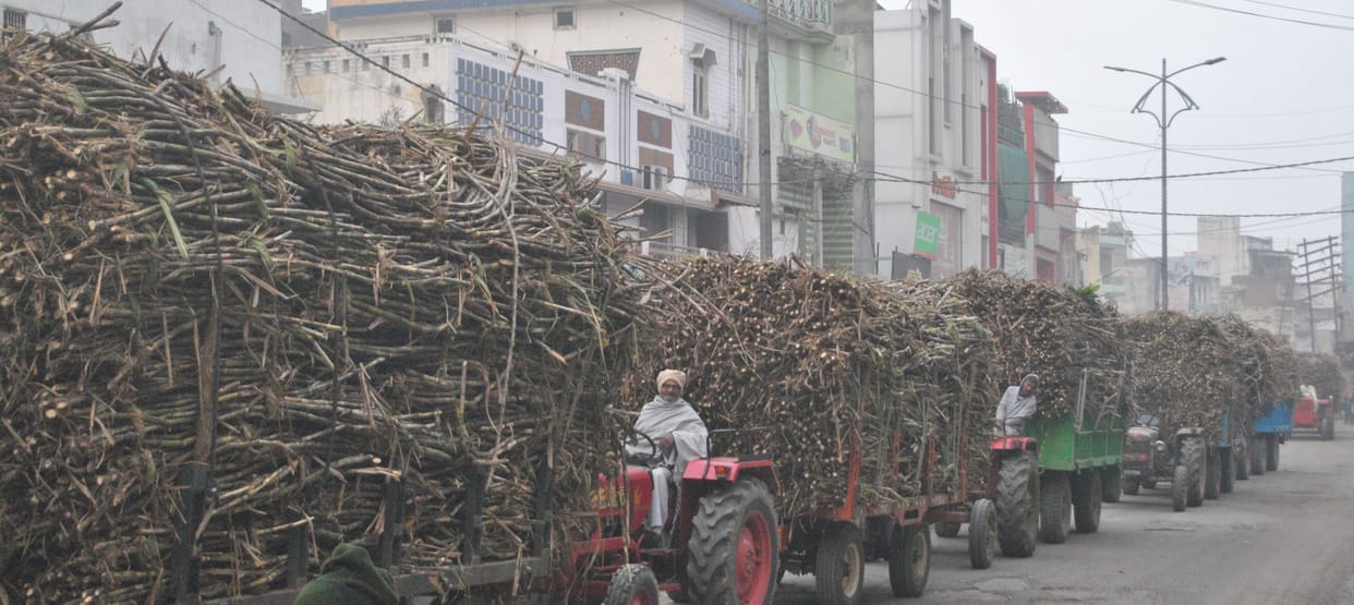 City jammed with sugarcane vehicles