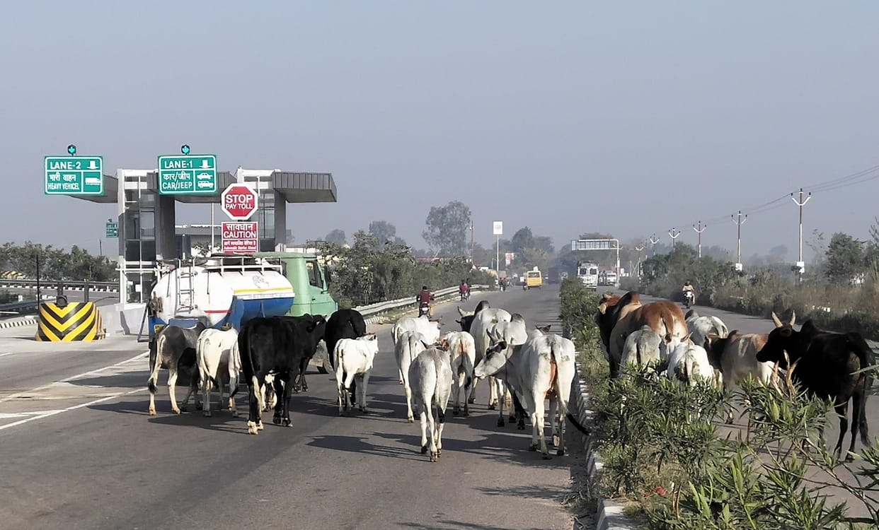 unnao news