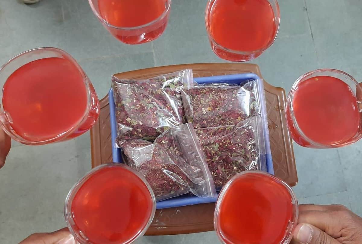 IIT Mandi Research: rhododendron arboreum juice help to cure from coronavirus infection