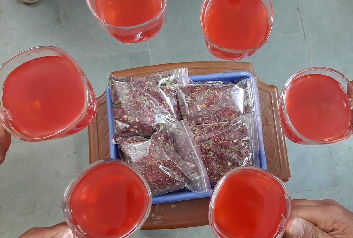 IIT Mandi Research: rhododendron arboreum juice help to cure from coronavirus infection