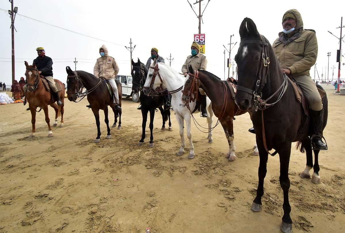 Paush Purnima: The bundle of faith heavy on the icy winds at Sangam, lakhs of devotees took a dip