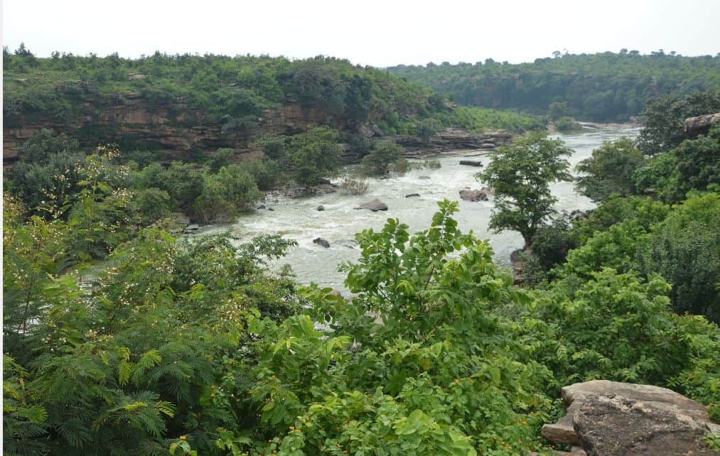 World Environment Day 2022 Know-How to Protect India's Eco-Tourism Destinations During Travel News in Hindi