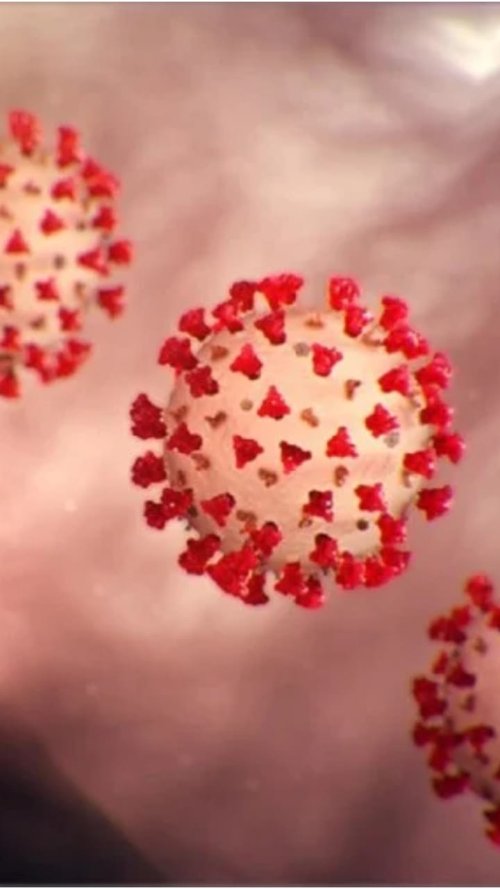 India records 159 new COVID-19 infections, active case tally 1,623