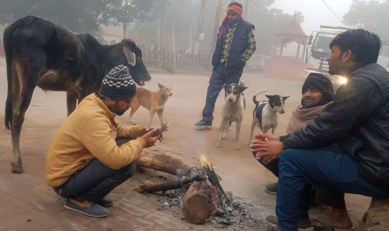 Deadly cold, two including innocent die