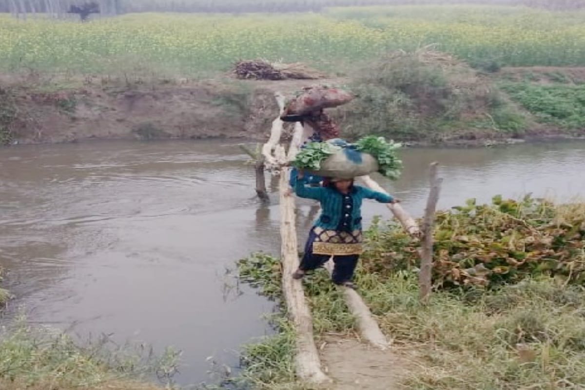 Assembly elections 2022: Nine MLAs could not get the bridge built in 84 years, thousands of dangers