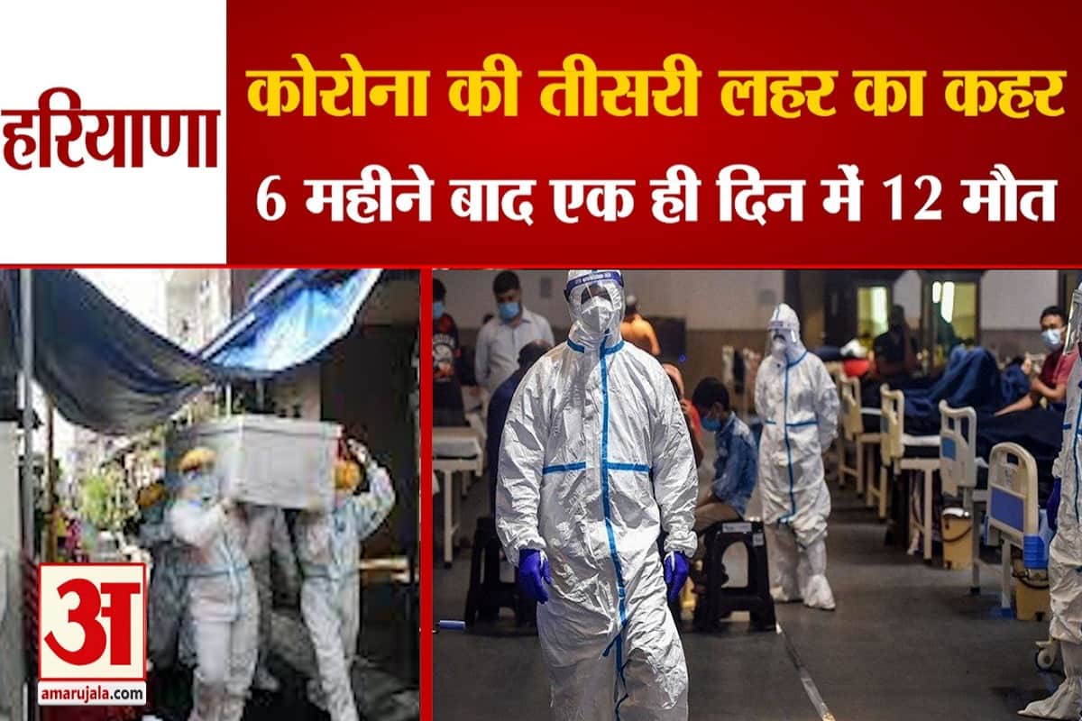 हरियाणा कोरोना