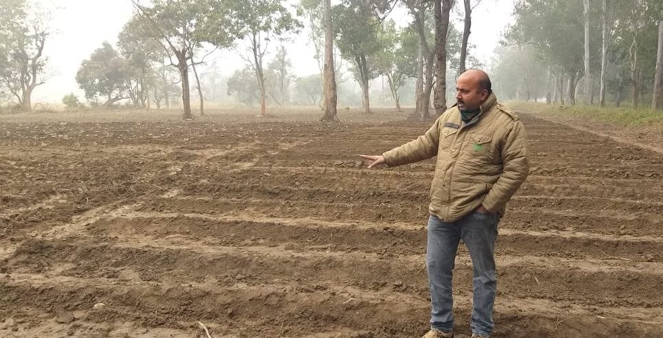 Lantana will be destroyed, grass will grow in the forest