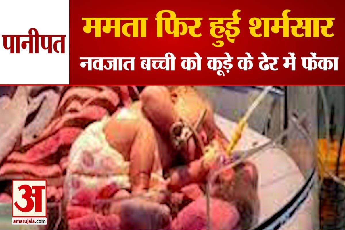 पानीपत
