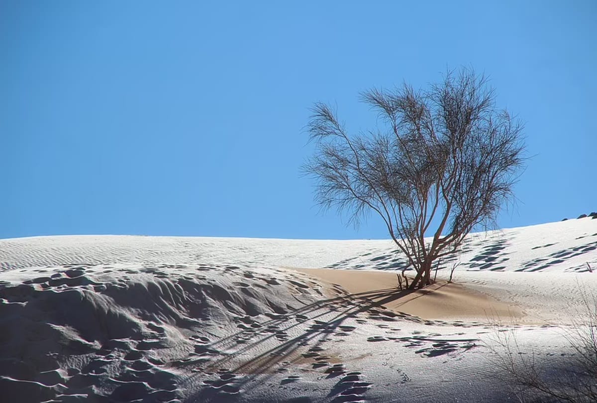 Snow Falls in Sahara Desert in North Africa as Ice blankets Desert Sand after temperature falls overnight news and updates