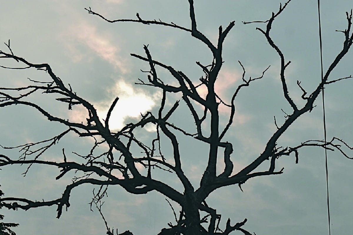 Weather will remain dry in Haryana till January 29