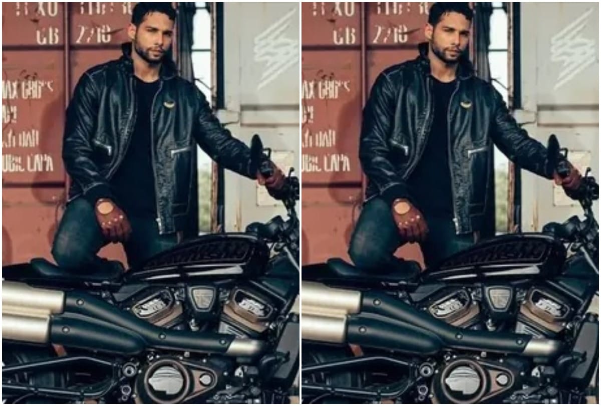 Siddhant Chaturvedi Birthday know lesser facts about gully boy mc sher