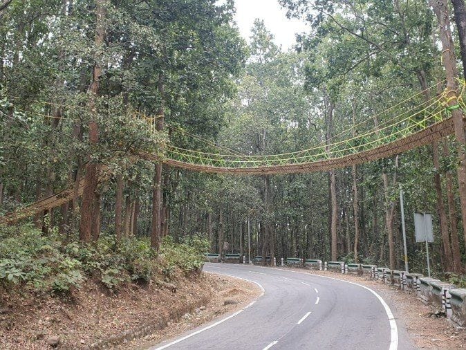 eco bridge in Ramanagar Forest Division