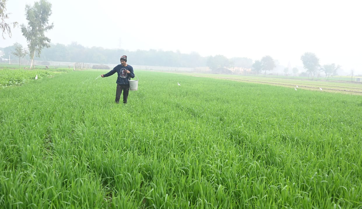 Weather changed due to the effect of western disturbance, light rain at night
