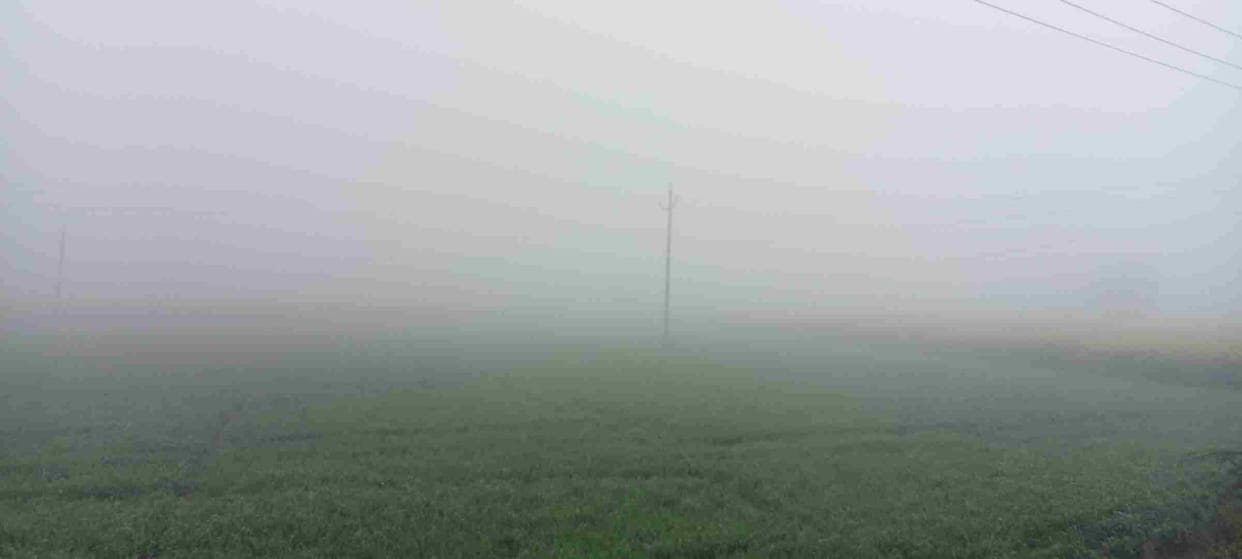 Fog stopped speed, rain expected on 21st and 22nd