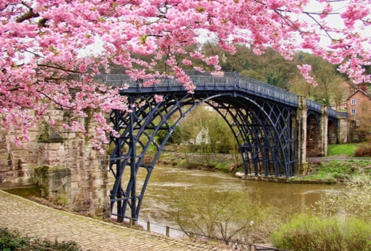 Mysterious Bridge dog pets jump suicide on this bridge in scotland know what is the mystery behind it