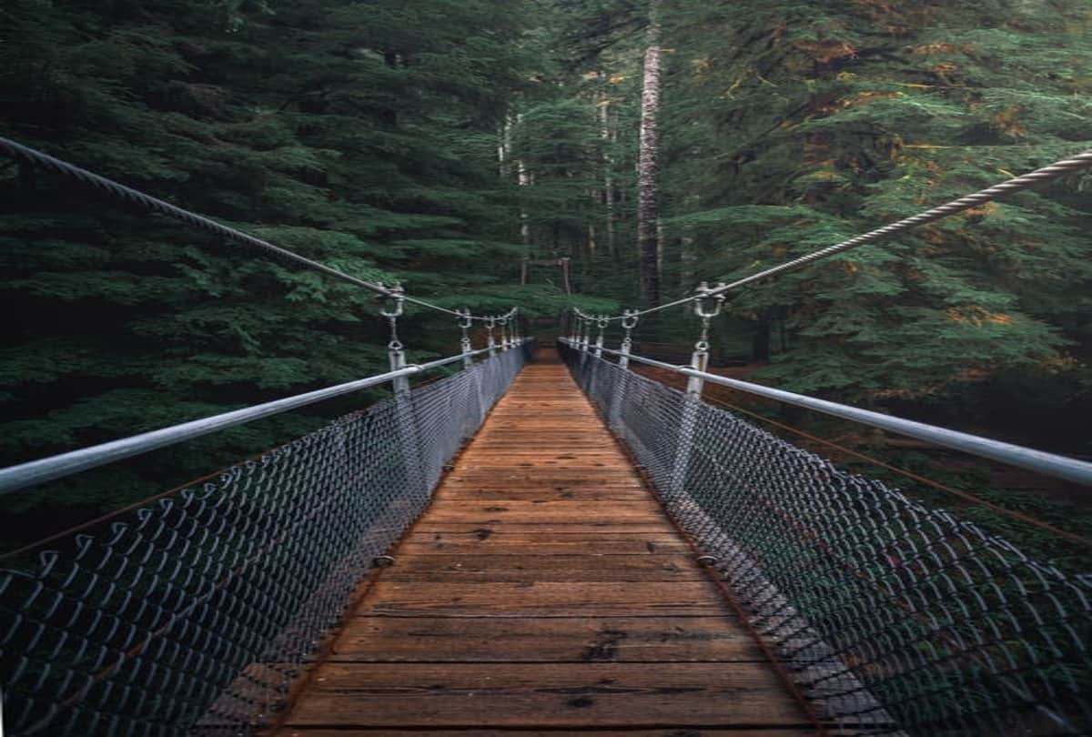 Mysterious Bridge dog pets jump suicide on this bridge in scotland know what is the mystery behind it