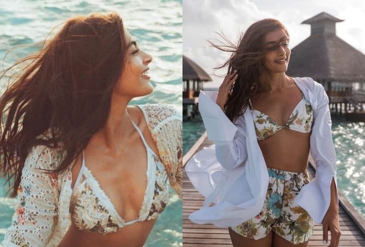 Actress Pooja Hegde Share Bikini Look Goes Viral, Pooja Hegde Raises Temperature on Instagram