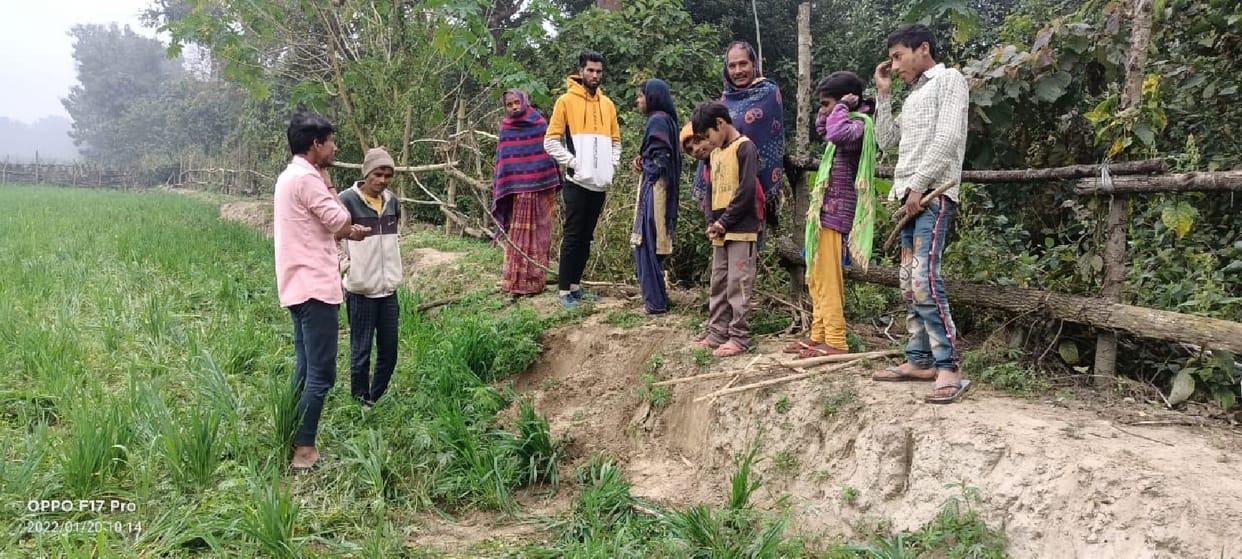 Elephants ravage, five bighas of crop wasted