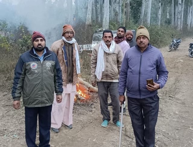 tiger stay on kharza canal region