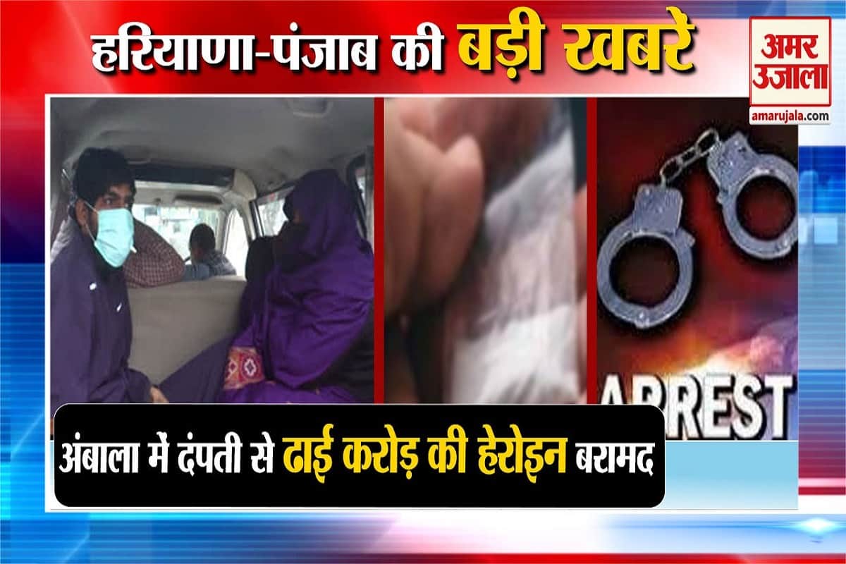 हरियाणा न्यूज