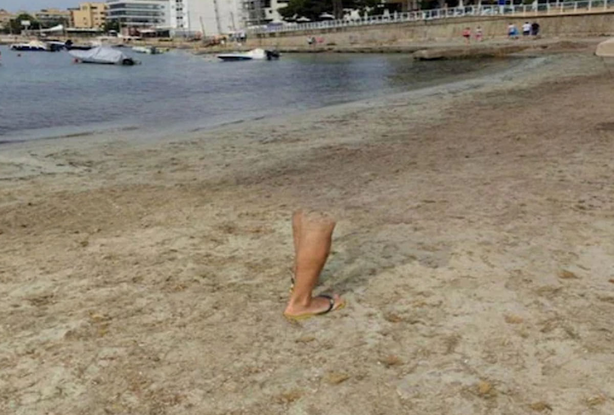 human single leg was seen walking on the beach Google user made a sensational claim