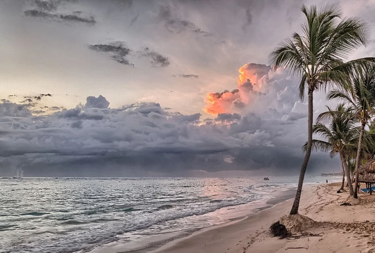 human single leg was seen walking on the beach Google user made a sensational claim