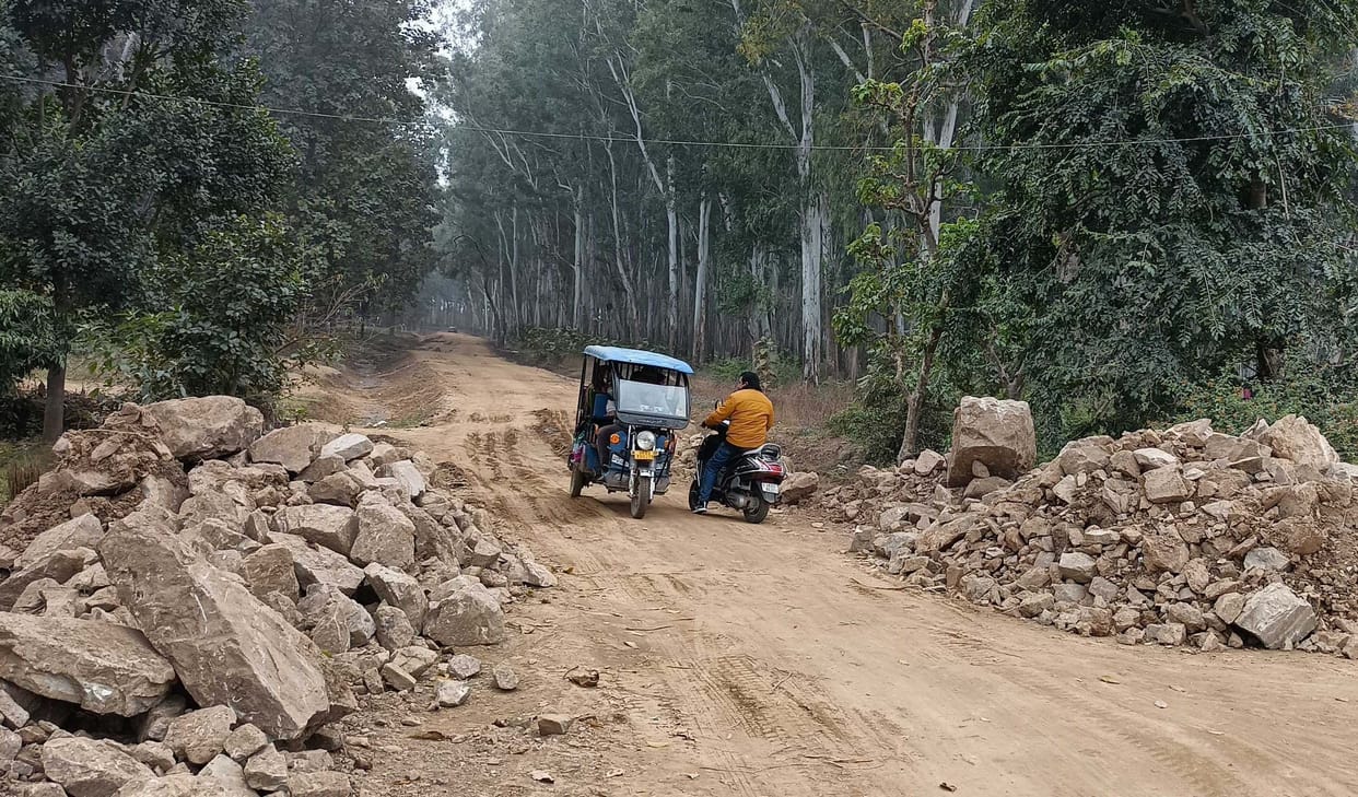 Forest land snatched facilities in Chhini Goth