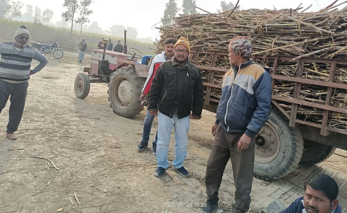 Farmer,money,cane