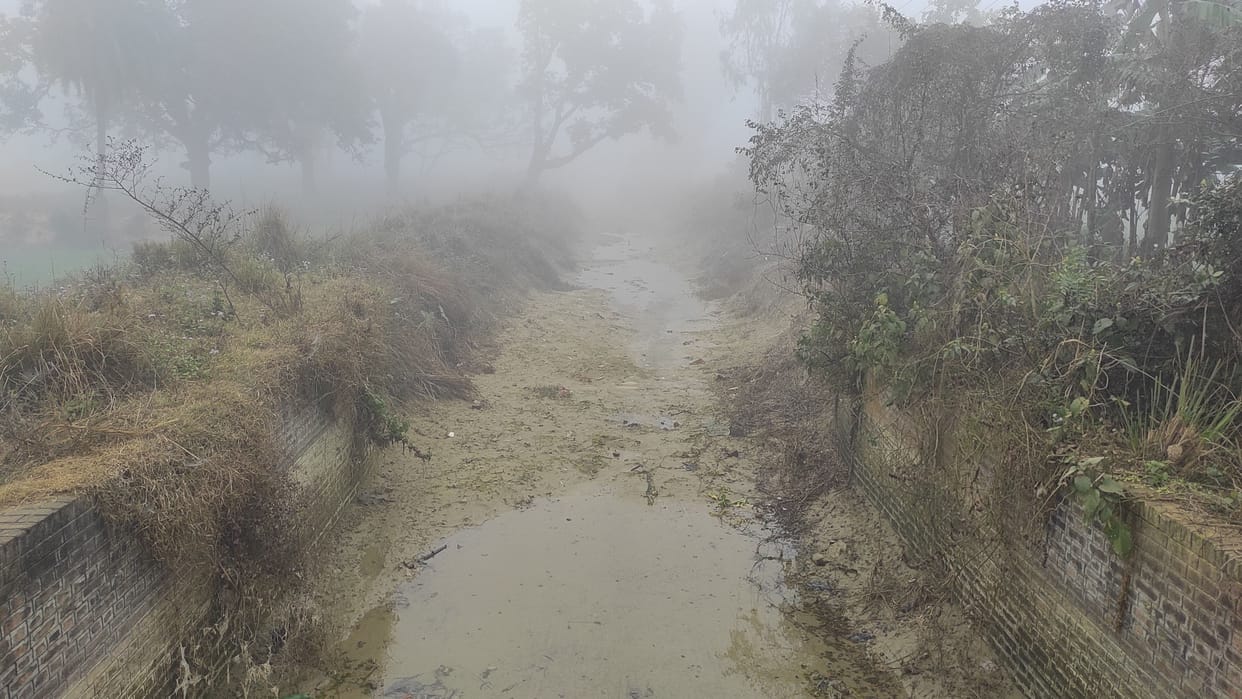 saru canal dry