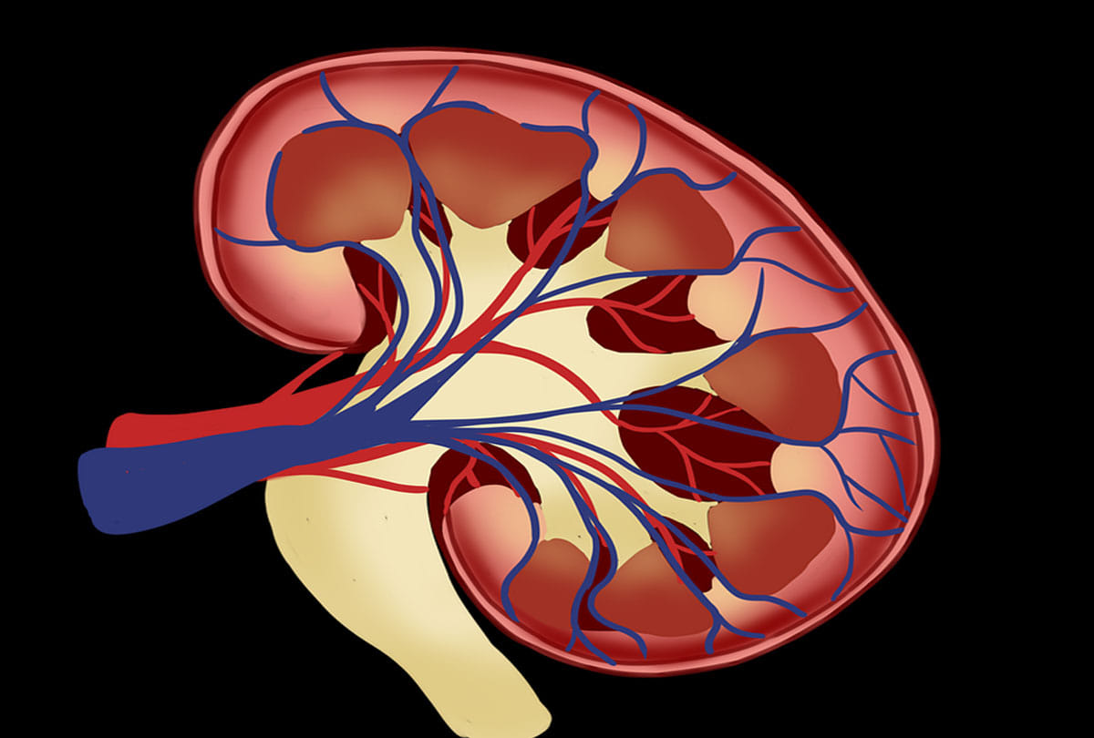 Delhi is becoming the center of organ trade, new racket surfaced every third year