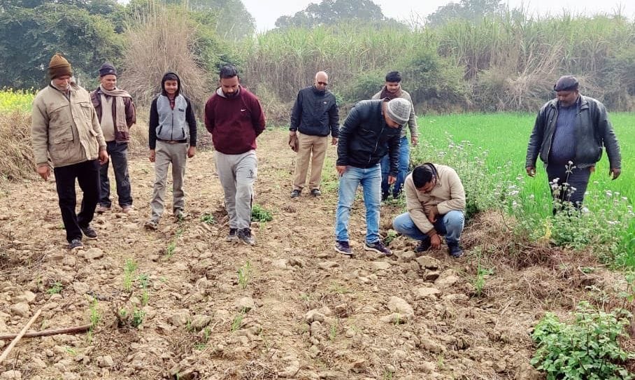 Leopard's footprints found going towards the forests of Lakhimpur