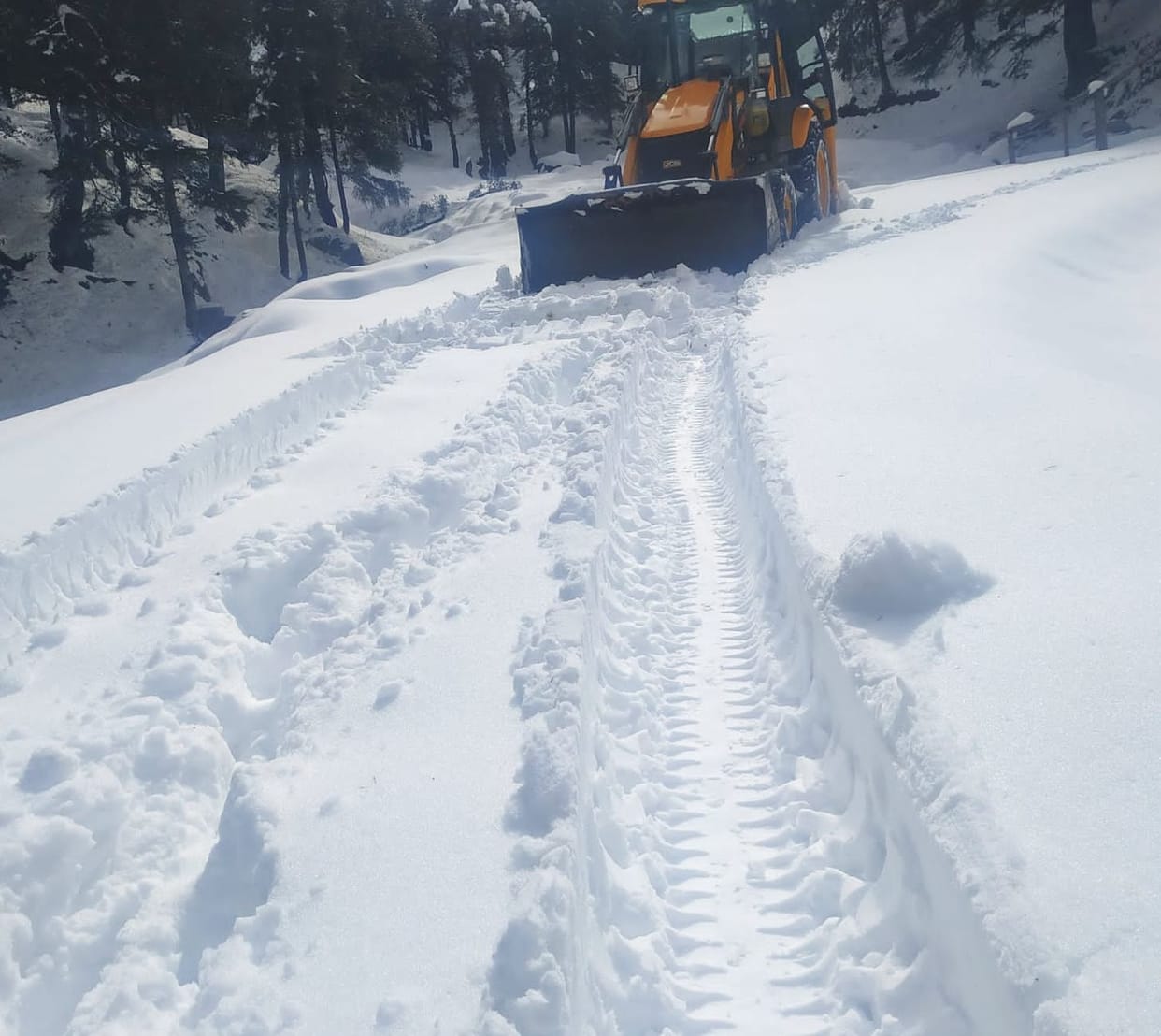 heavy Snowfall on Shikari Devi and Kamrunag hills