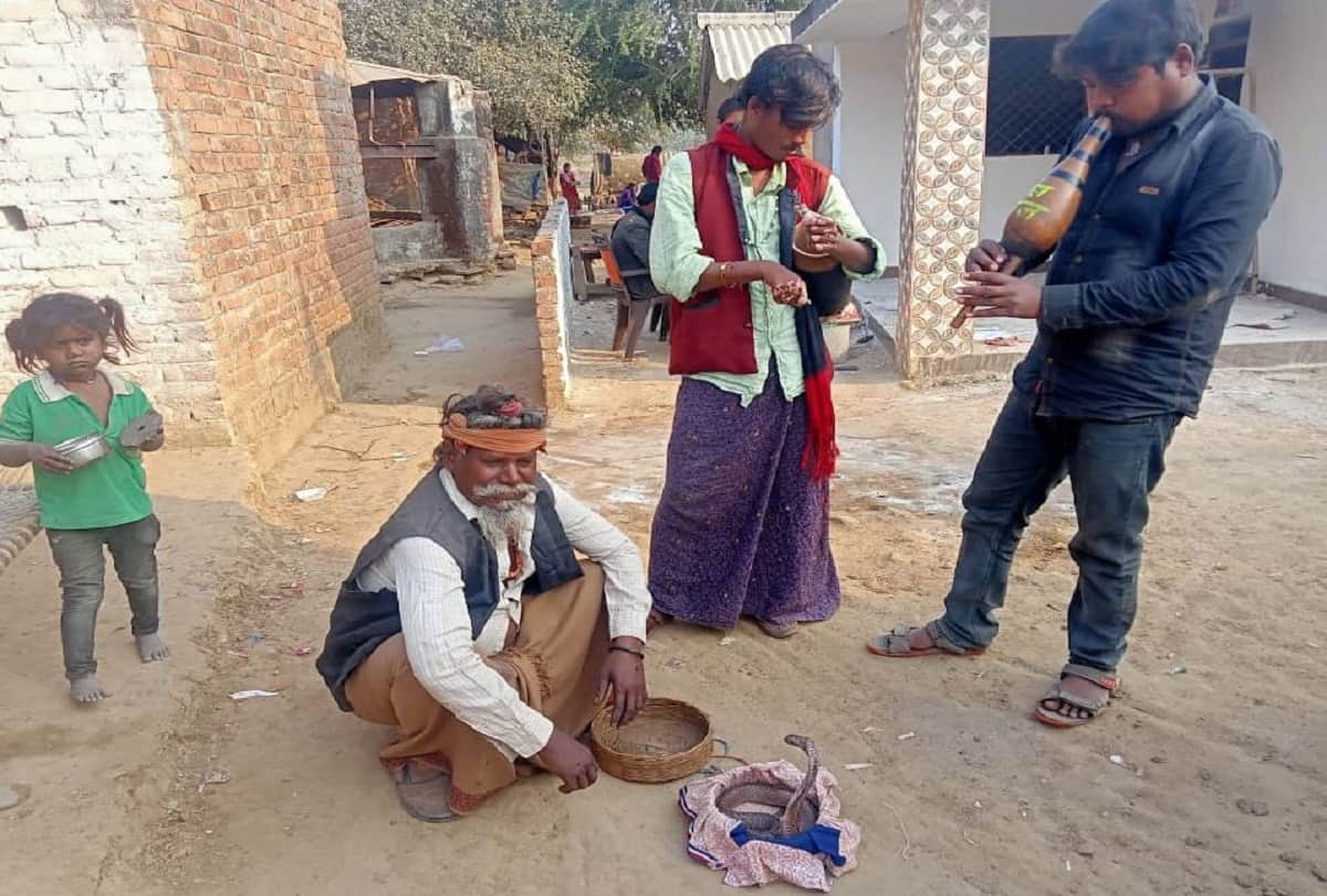 up assembly election 2022: A village where, not the government, only snakes have support, development issues are left behind