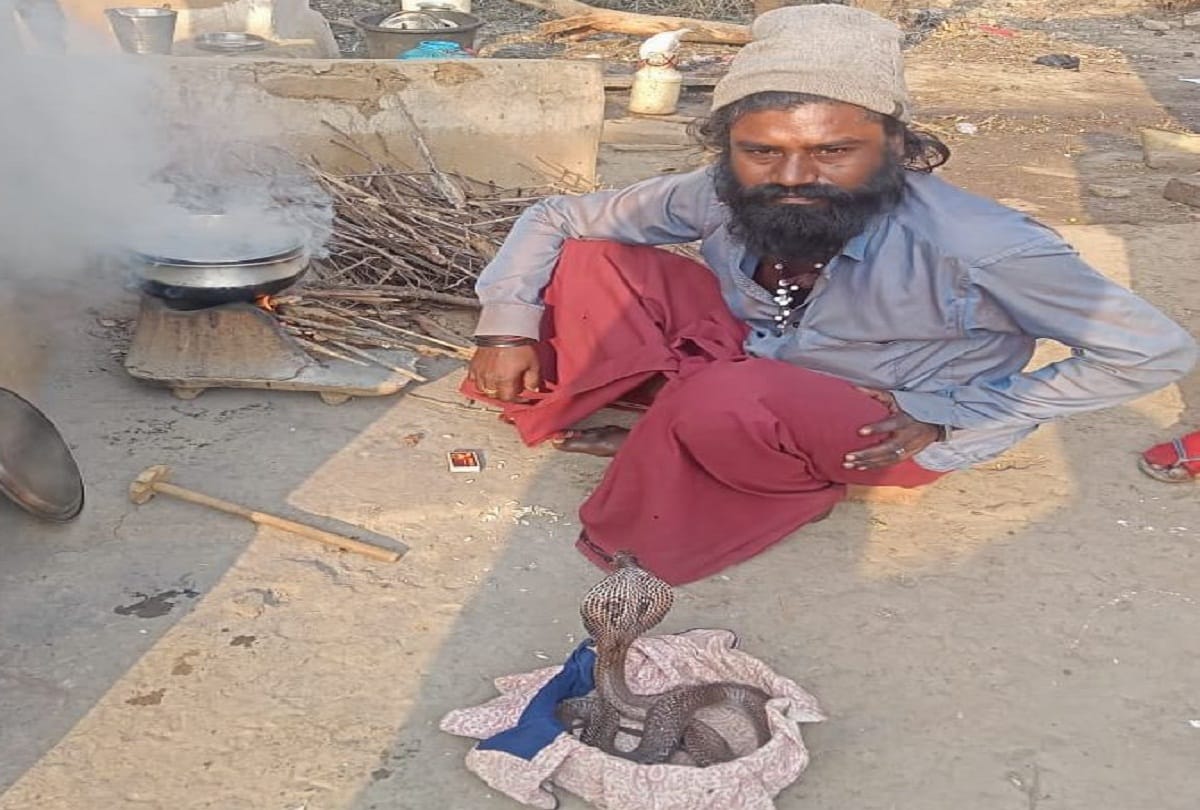 up assembly election 2022: A village where, not the government, only snakes have support, development issues are left behind