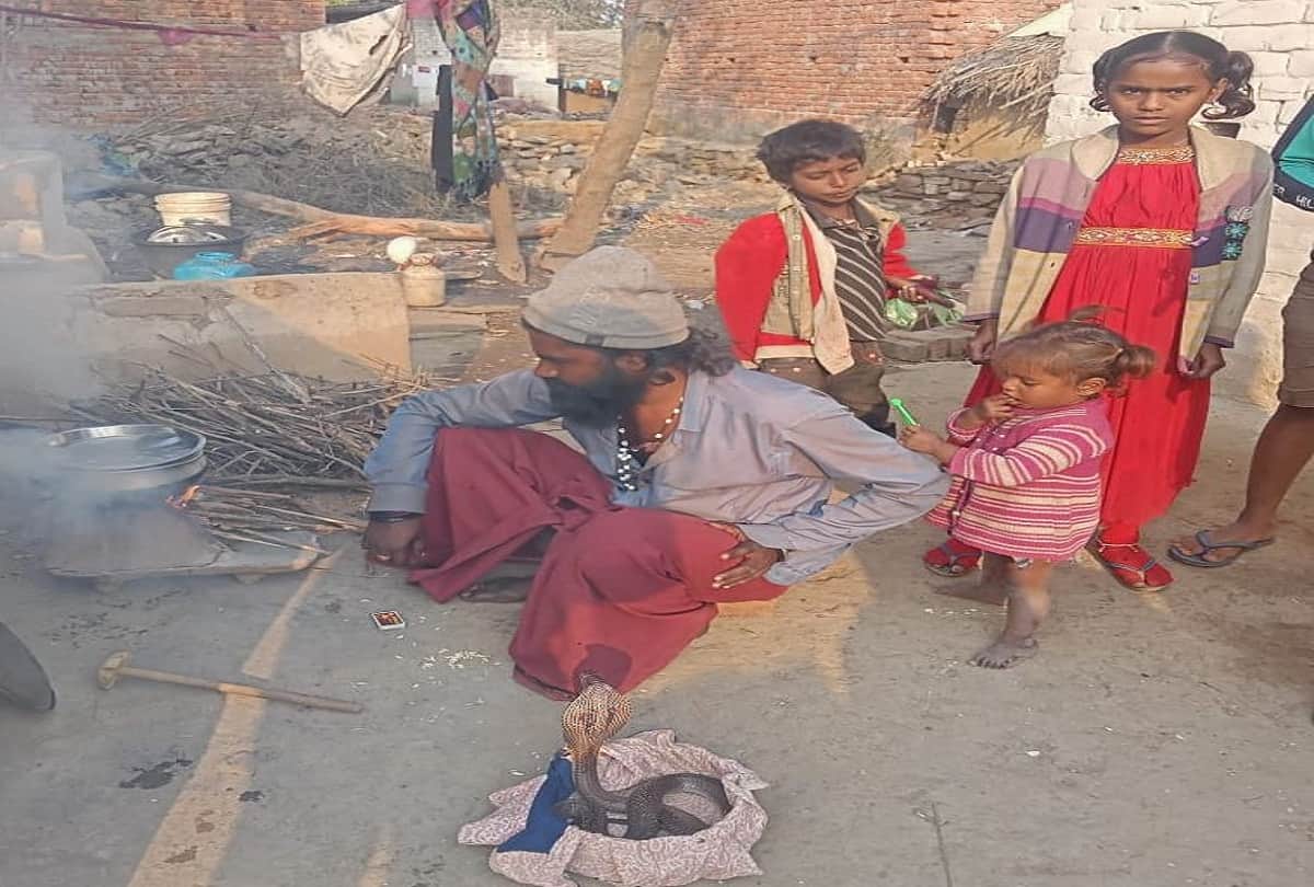 up assembly election 2022: A village where, not the government, only snakes have support, development issues are left behind