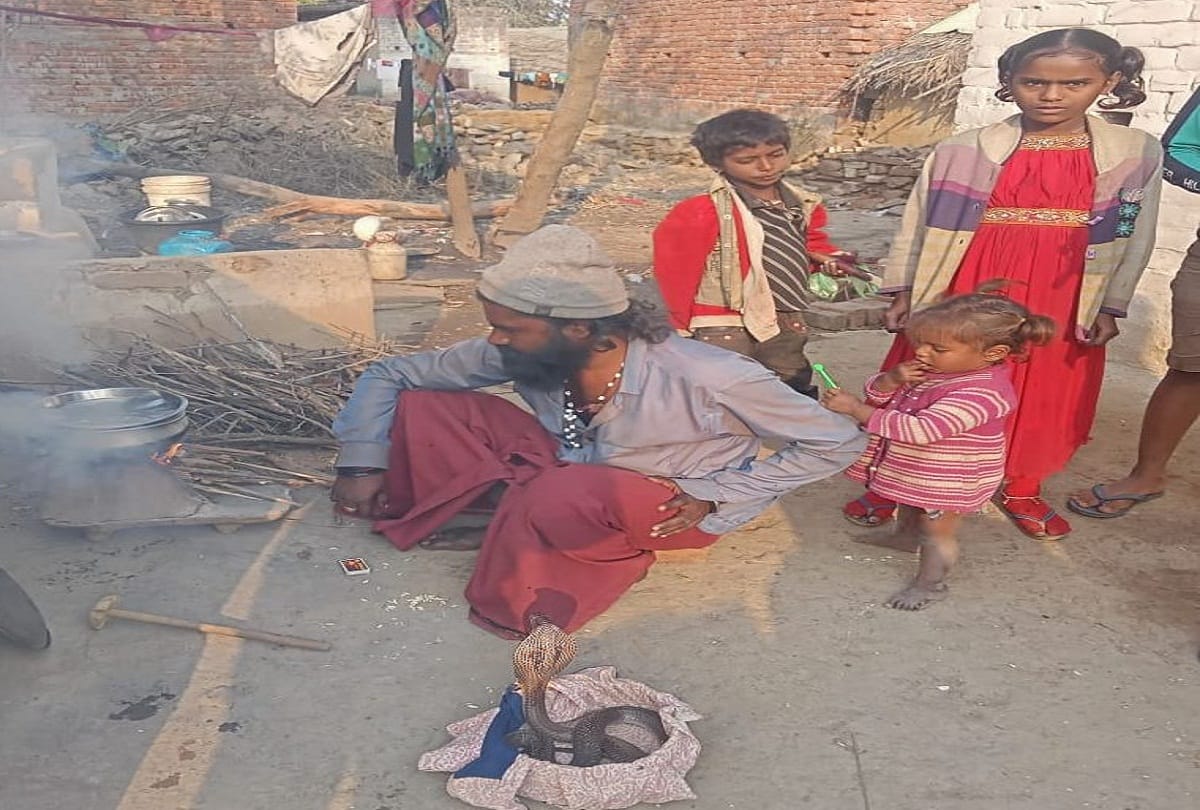 up assembly election 2022: A village where, not the government, only snakes have support, development issues are left behind