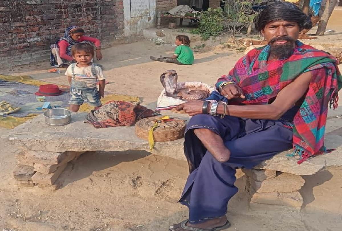 up assembly election 2022: A village where, not the government, only snakes have support, development issues are left behind