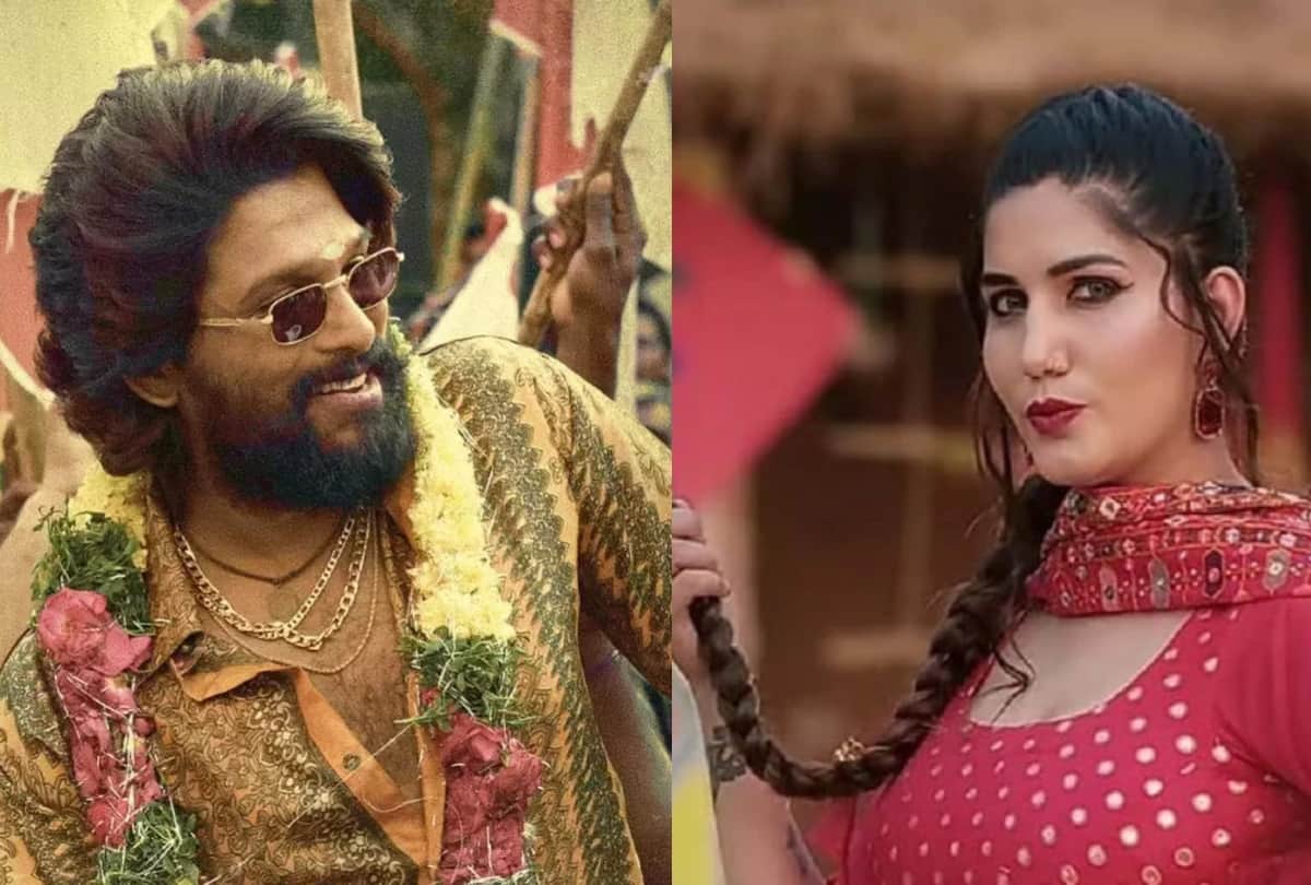 Sapna Choudhary recreated the famous dialogue of Pushpa see here