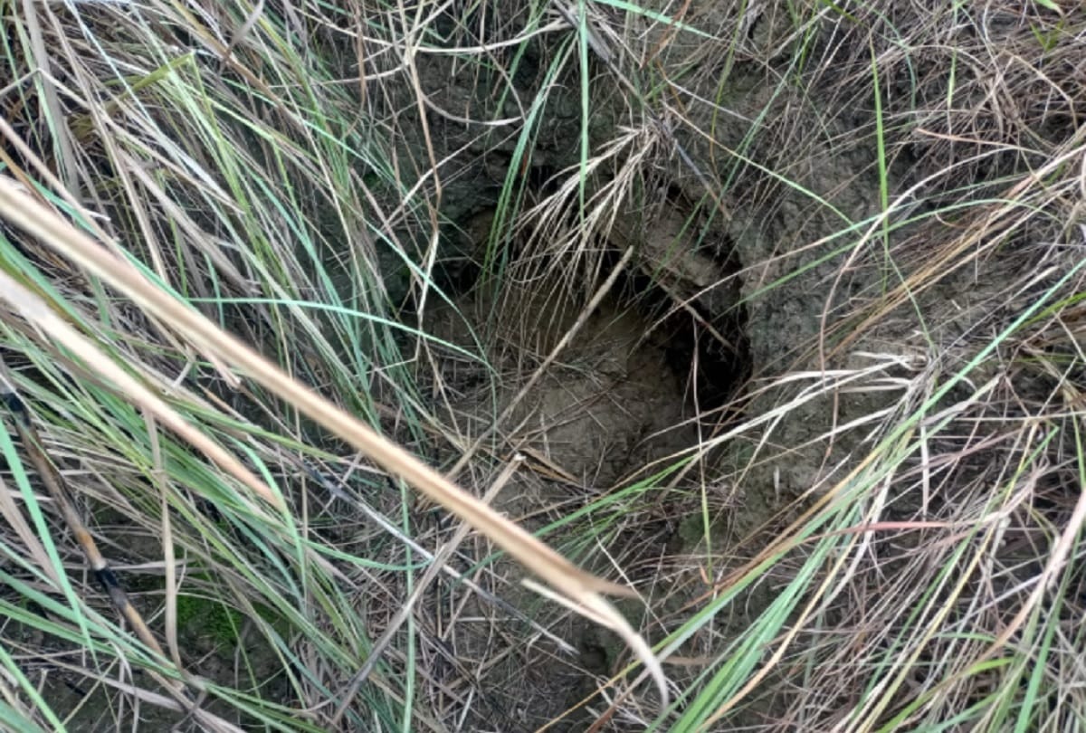 terrorist conspiracy on Republic Day: Attempt to send terrorists through tunnel from across the border, tunnel found on international border in Kathua district